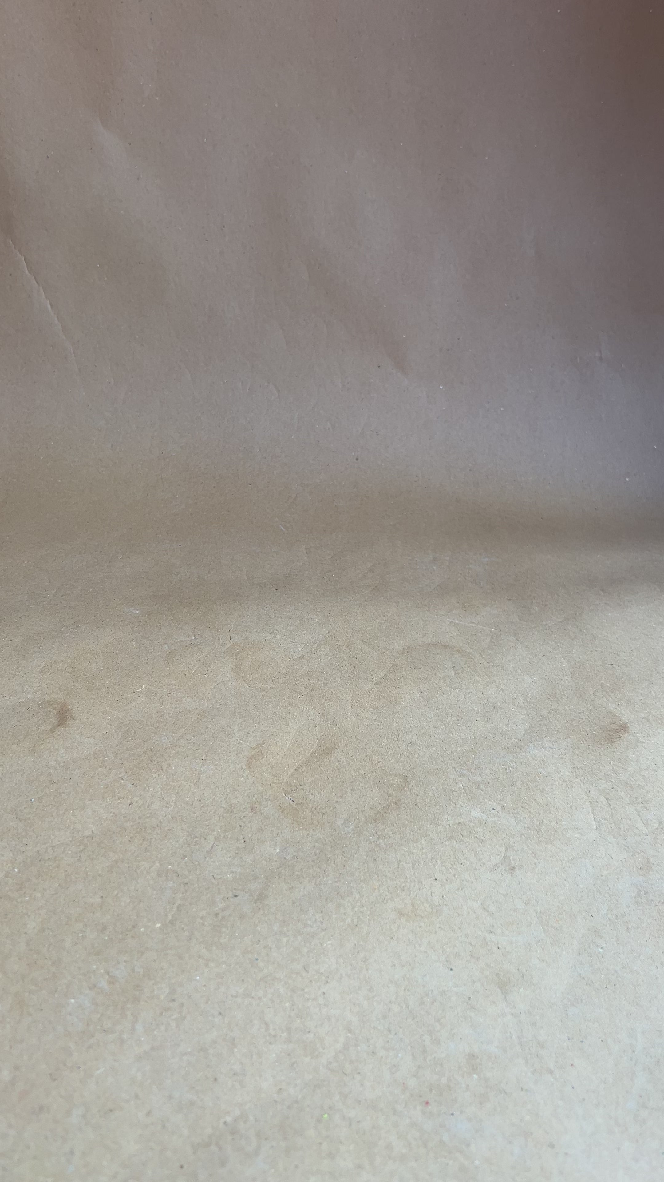 Gold sparkle cinderella heels