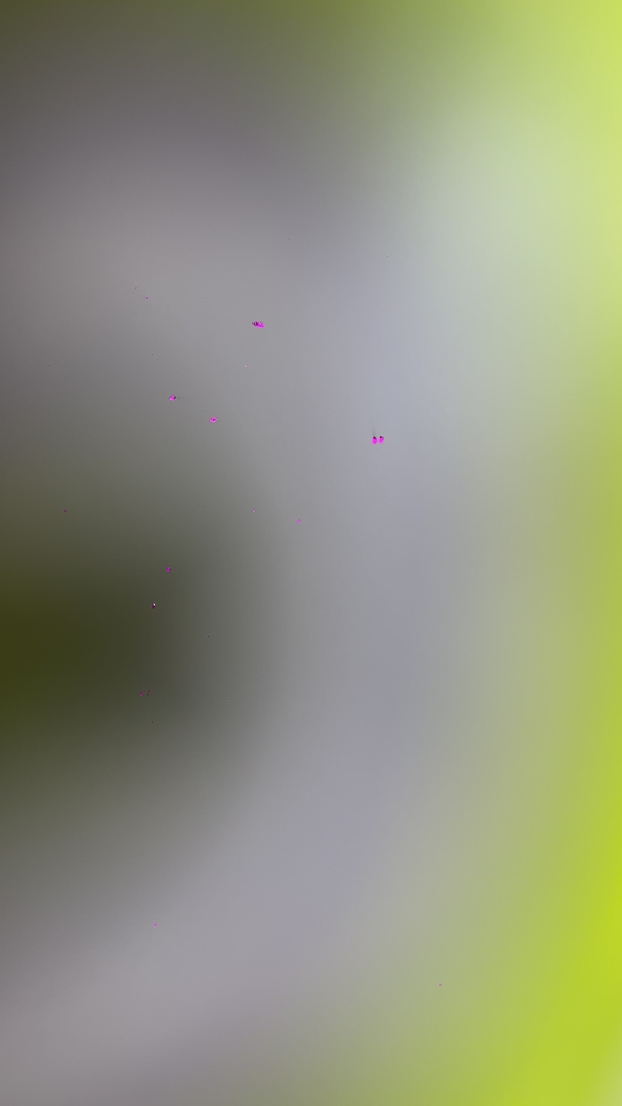 DOUBLE STRAPPY dog mom  ZUBIS