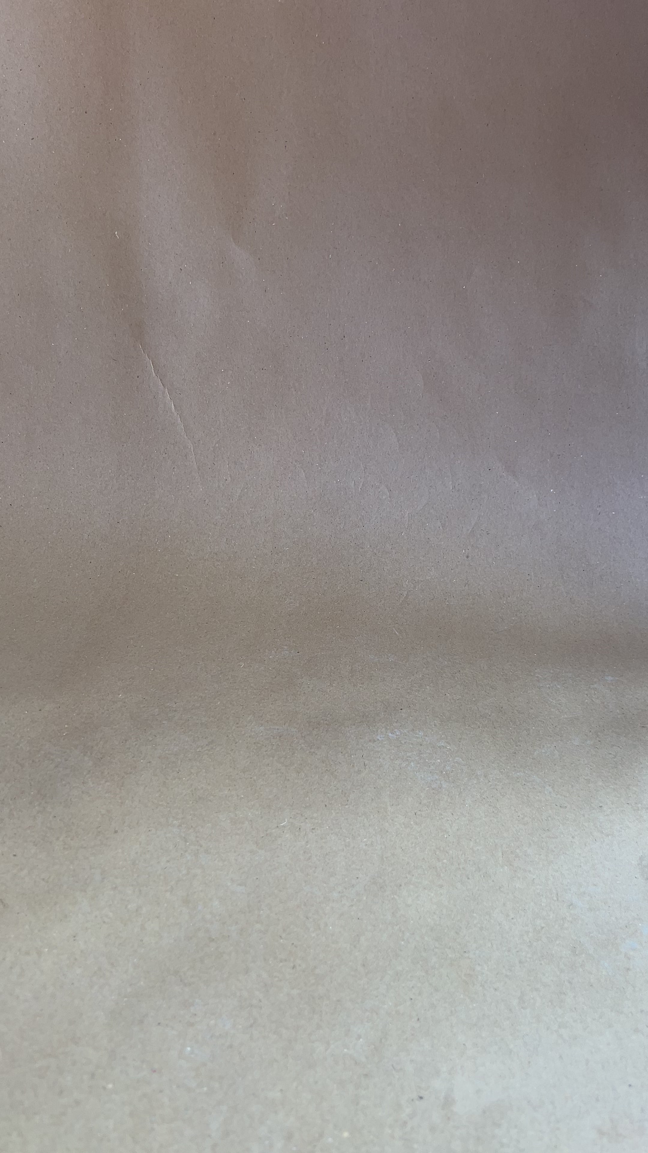 Black pointed strappy heel