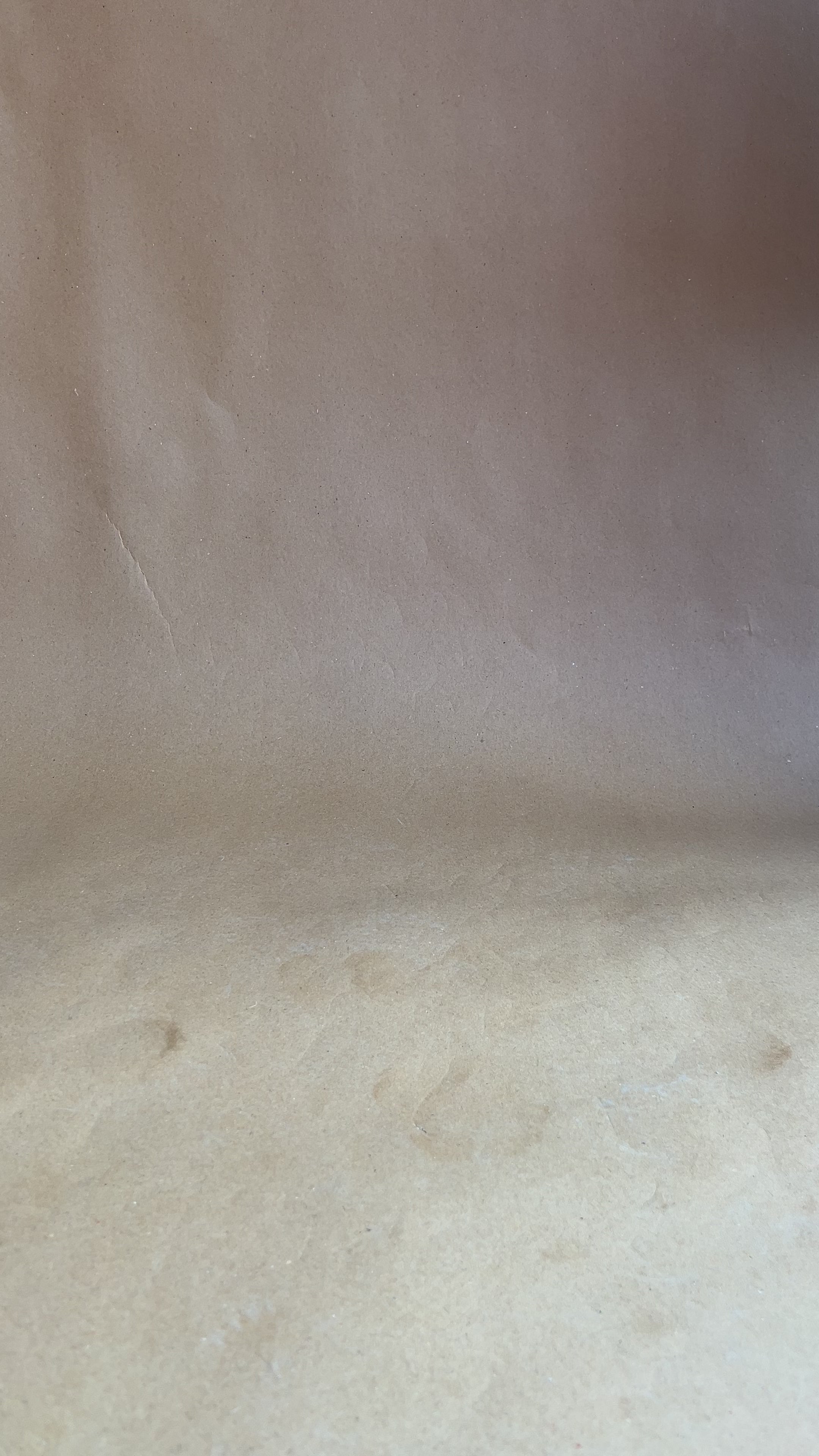 Silver mettalic double strappy heel