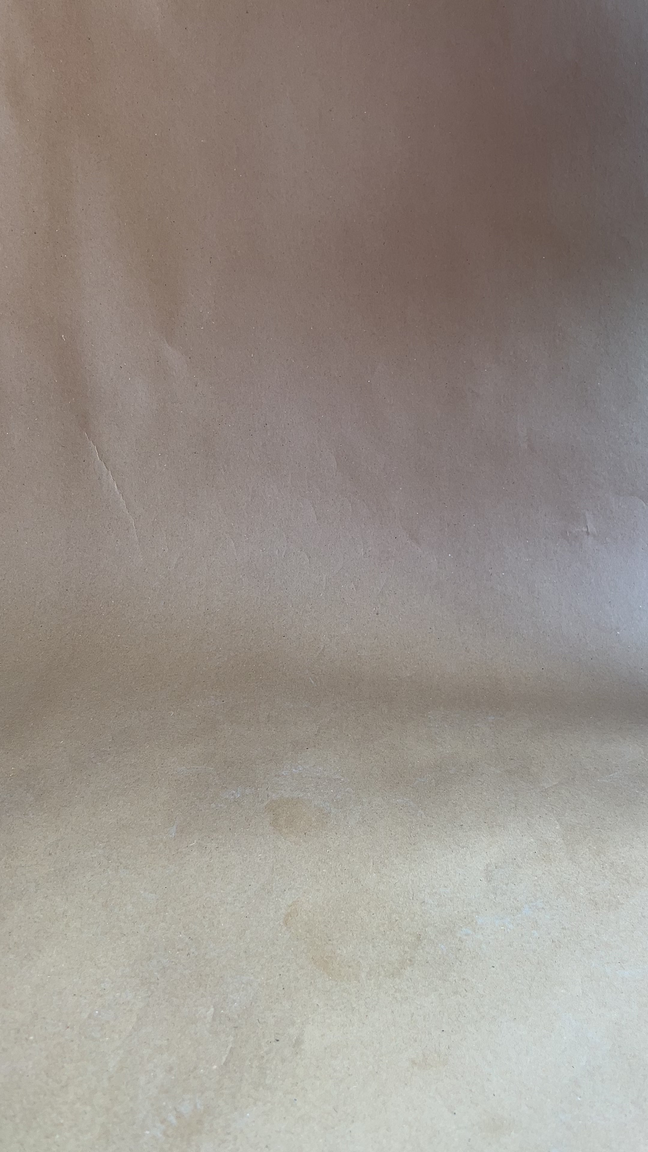 Golden mettalic double strappy heel