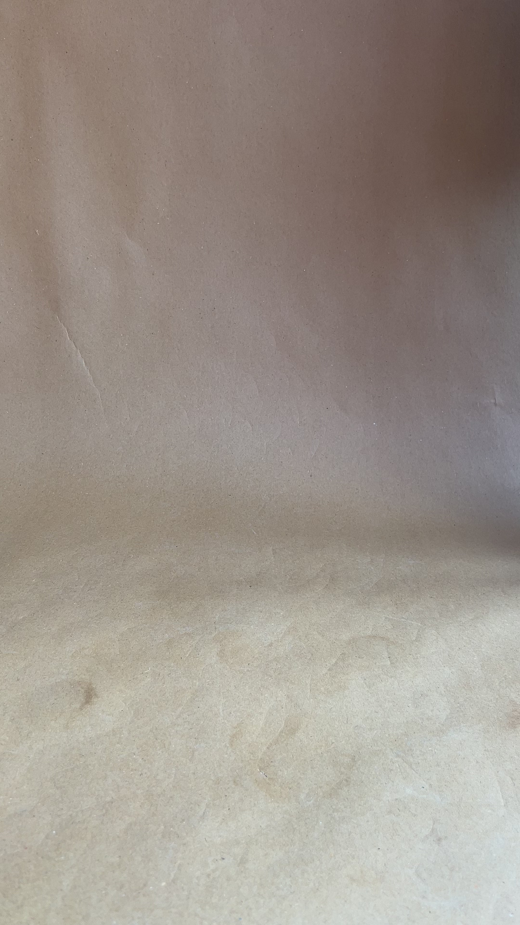 Black double strappy crystal heel