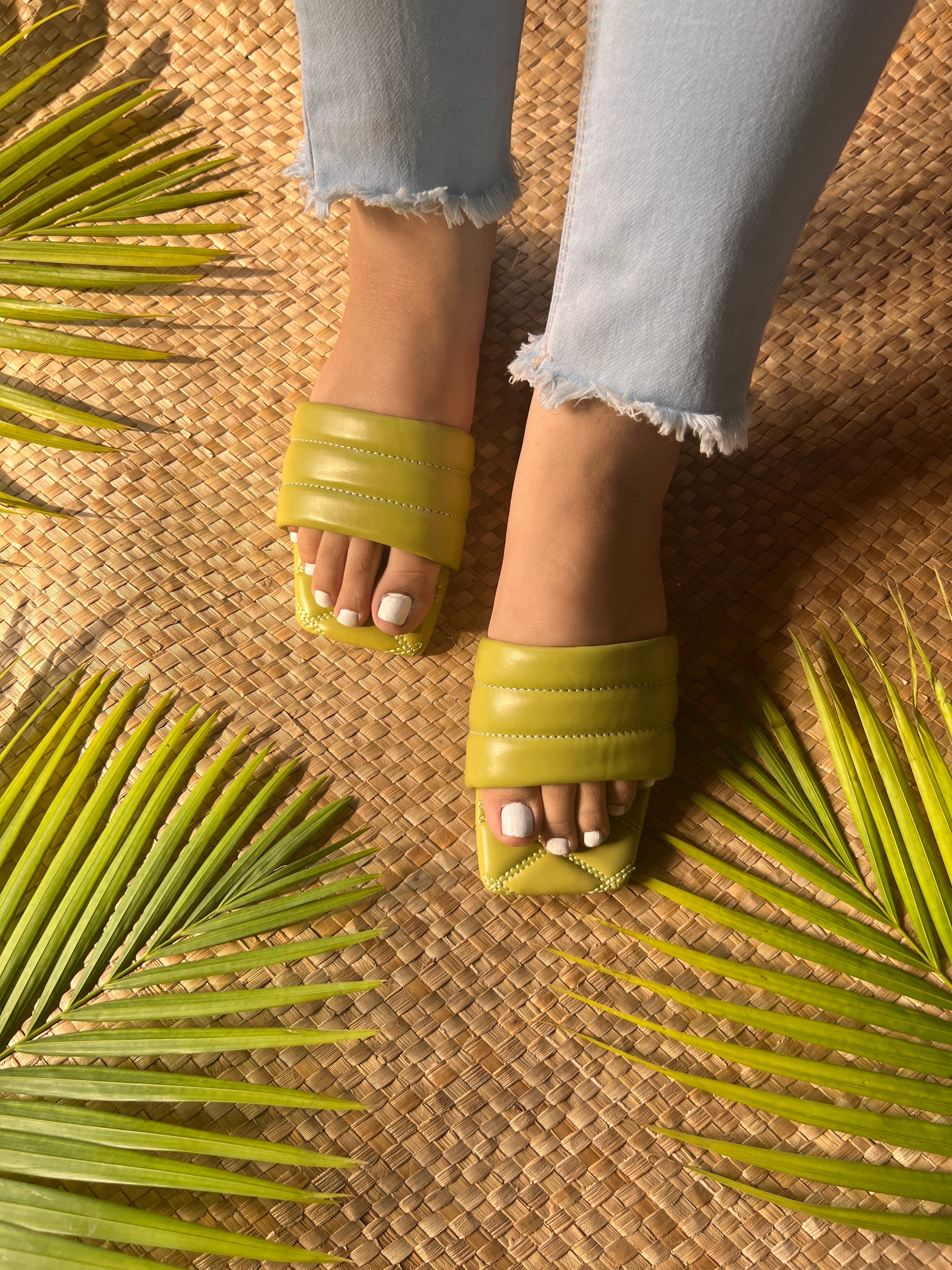 Olive pista basics slides